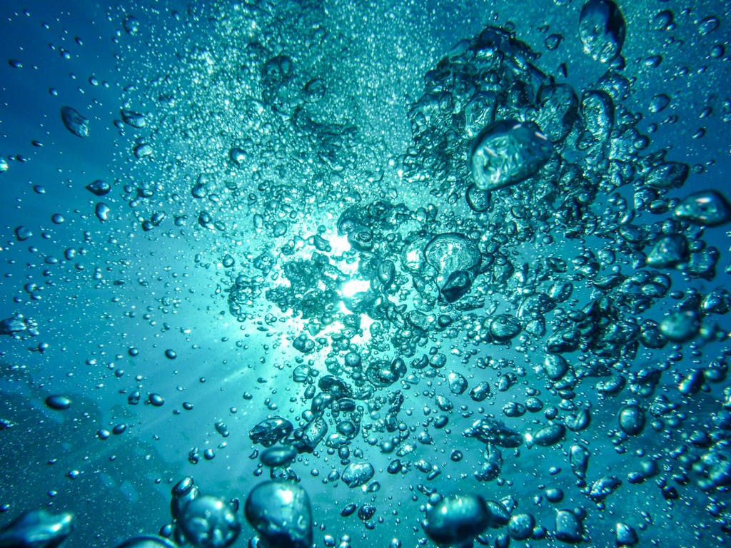 Capture of underwater bubbles rising towards the surface with sunlight streaming through.